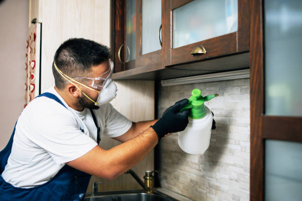 Best Pest Removal Services  in Taos, NM