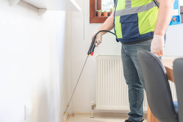Best Emergency Pest Control  in Taos, NM