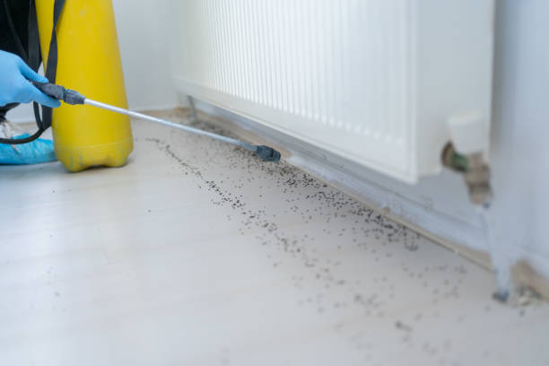 Best Mosquito Control Services  in Taos, NM