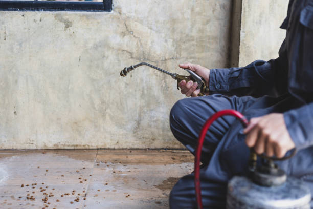 Best Pest Inspection Near Me  in Taos, NM